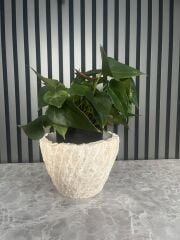 Traverten El Yapımı Saksı (Patlatma Detaylı)